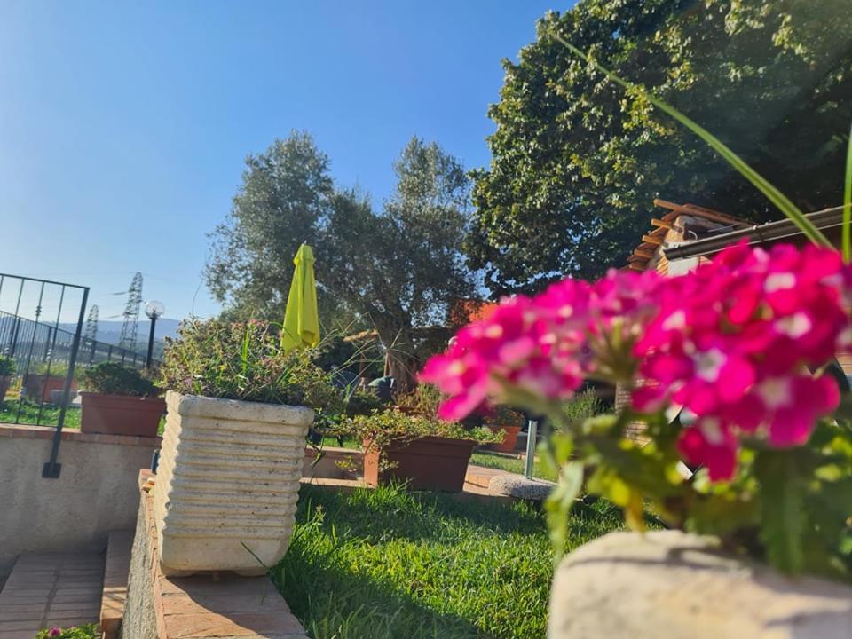 Il Colle Degli Ulivi Hotel San Calogero Bagian luar foto
