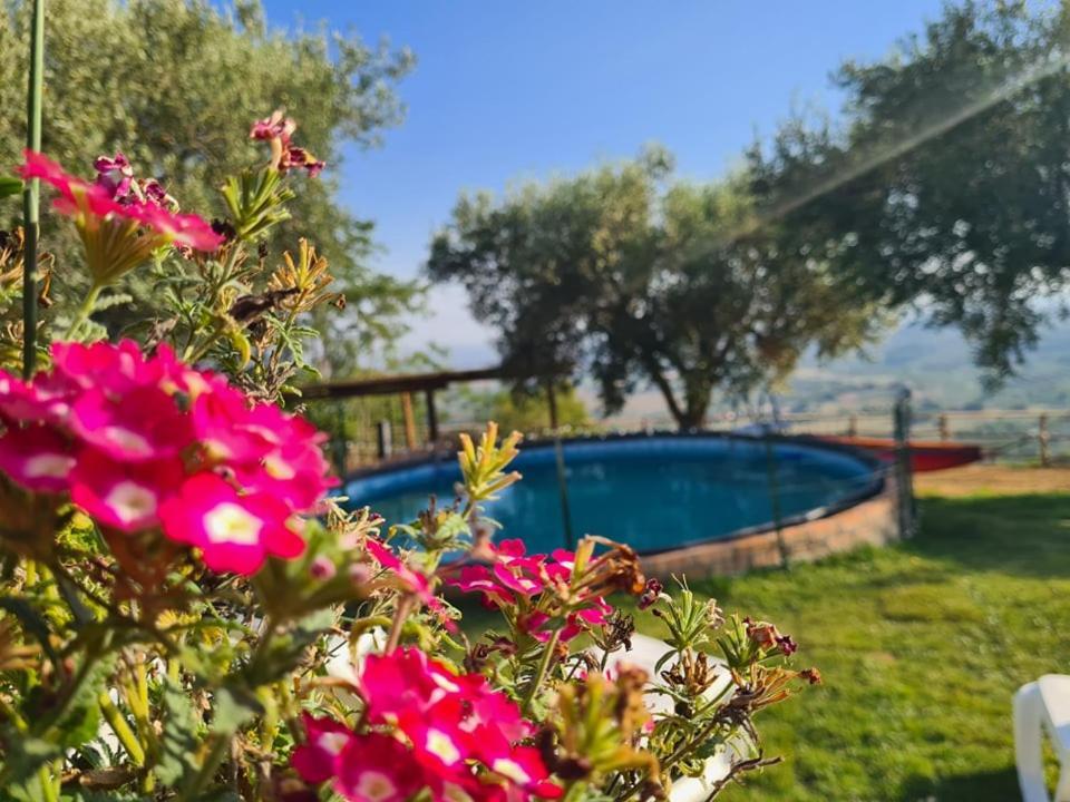 Il Colle Degli Ulivi Hotel San Calogero Bagian luar foto