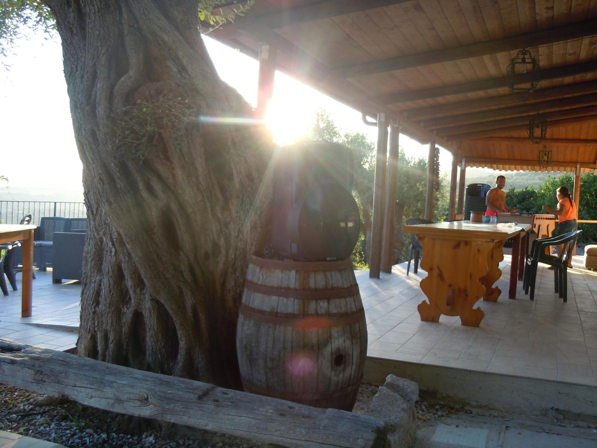 Il Colle Degli Ulivi Hotel San Calogero Bagian luar foto