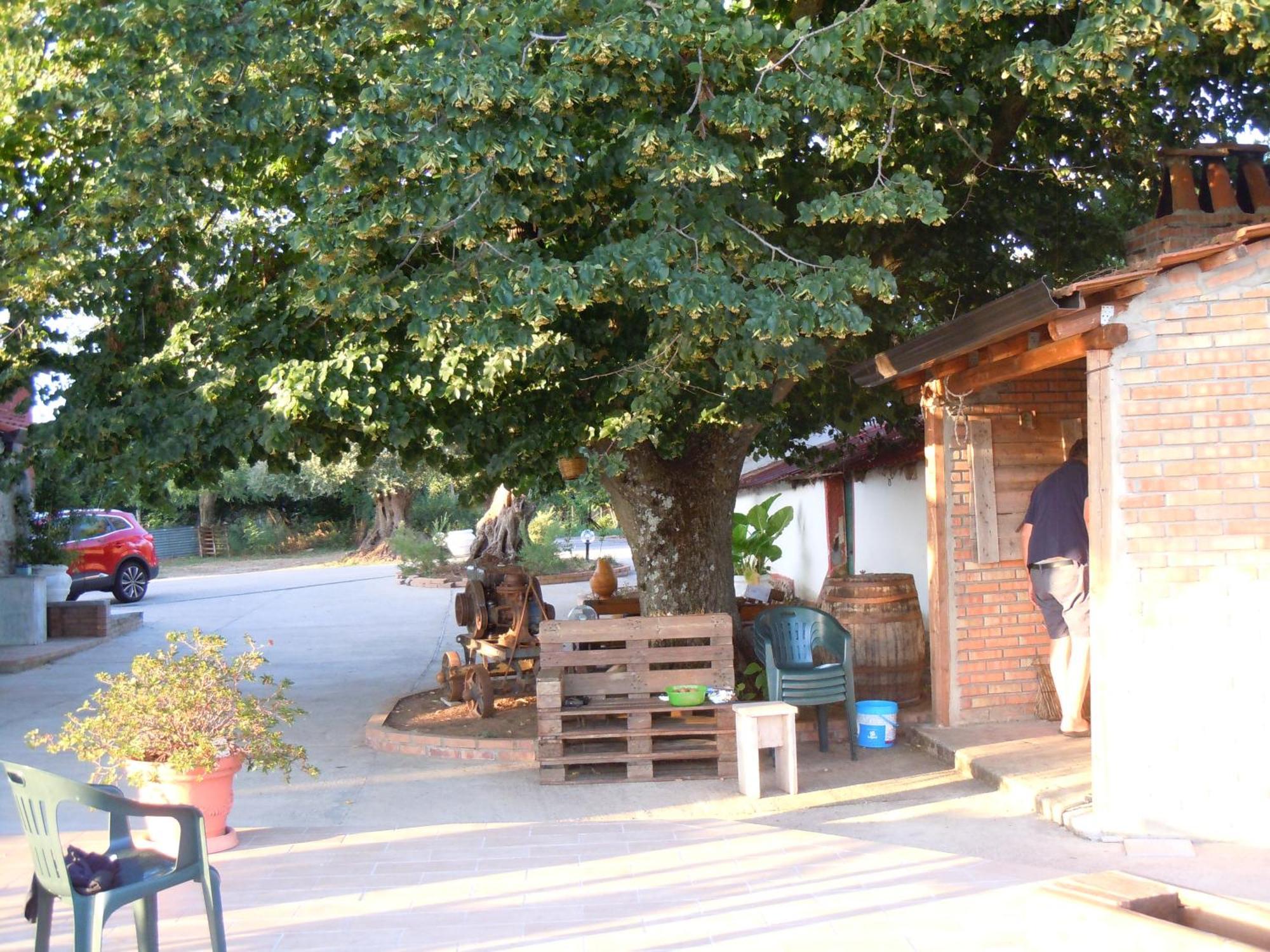Il Colle Degli Ulivi Hotel San Calogero Bagian luar foto
