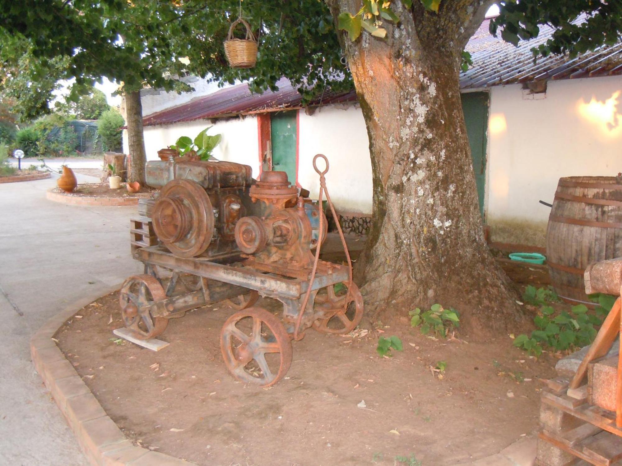 Il Colle Degli Ulivi Hotel San Calogero Bagian luar foto