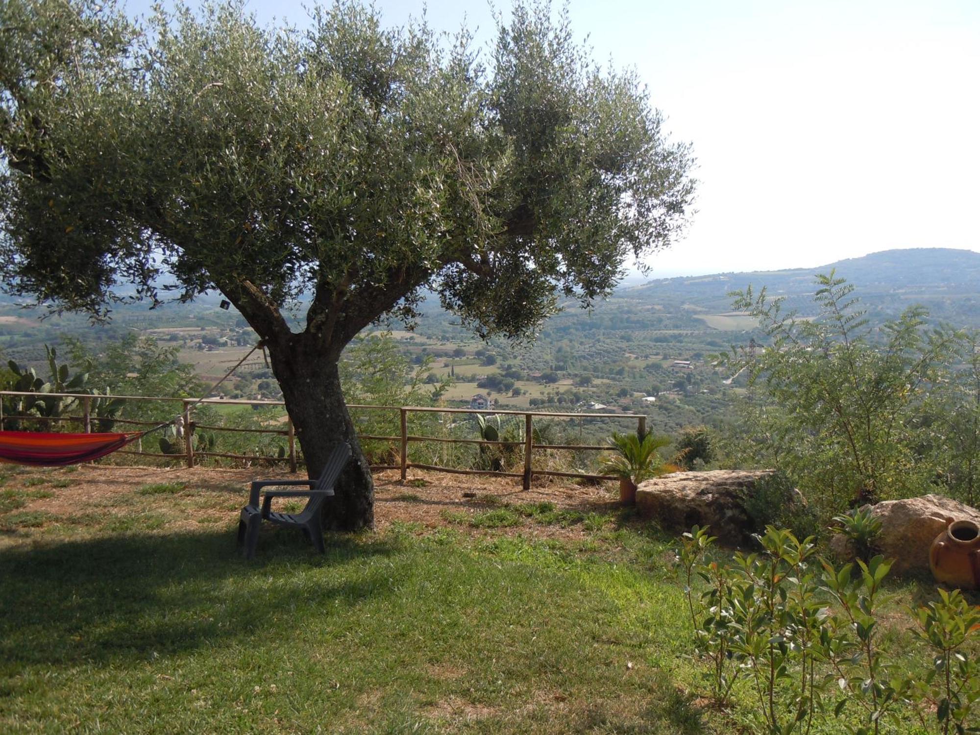 Il Colle Degli Ulivi Hotel San Calogero Bagian luar foto