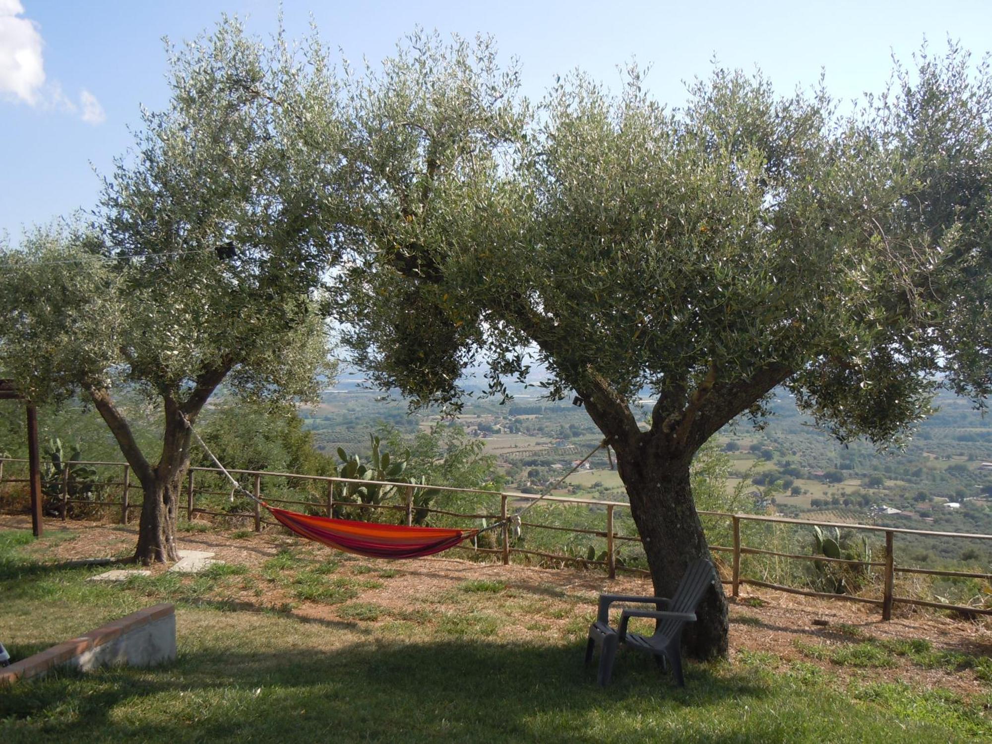 Il Colle Degli Ulivi Hotel San Calogero Bagian luar foto